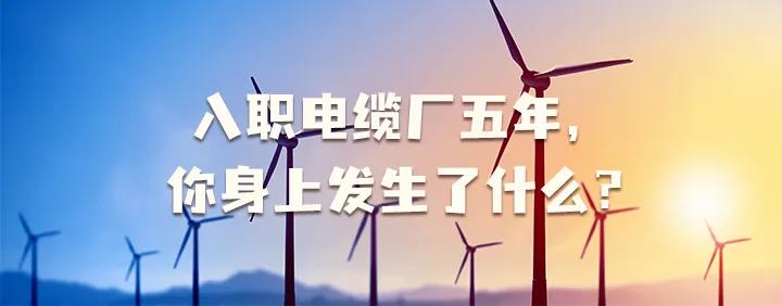 入職電纜廠五年，你身上發生了哪些變化~